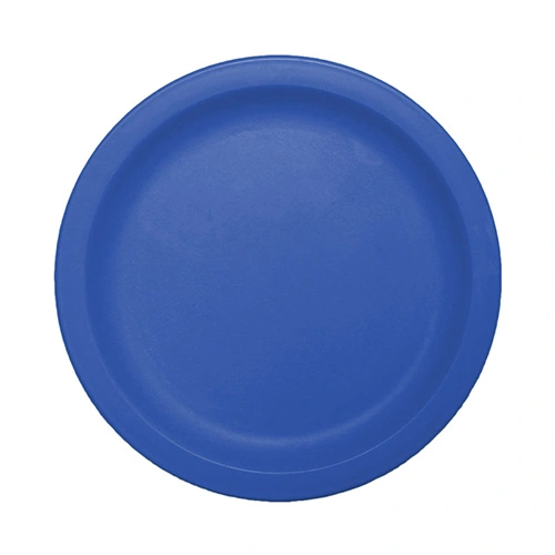 9 Inch Dinner Plate